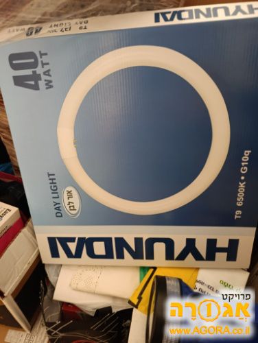 נורת פלורסנט עגולה גדולה