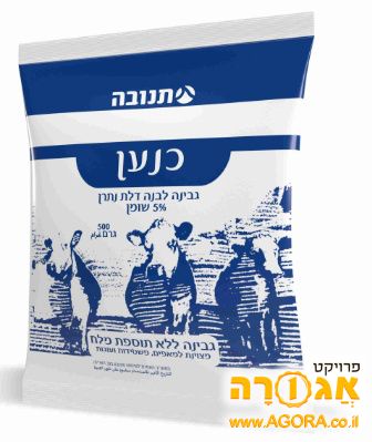 גבינת כנען