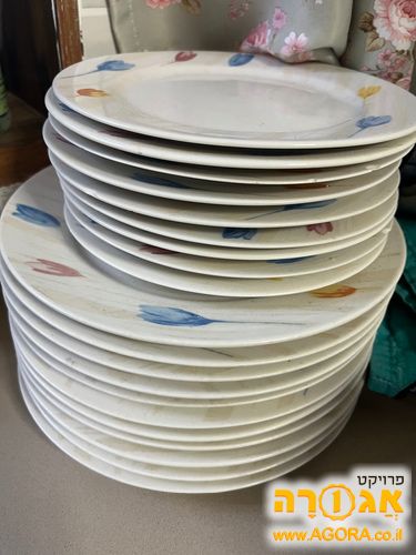סט צלחות אוכל מנה ראשונה ועיקרית