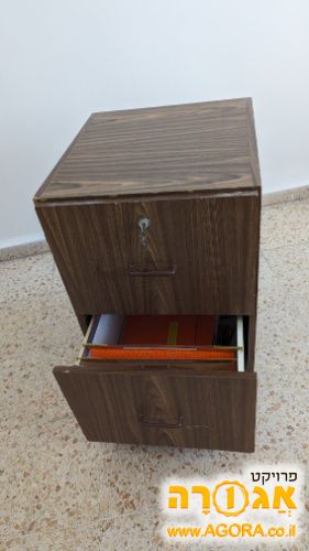 ארונית