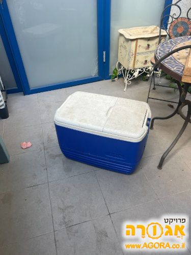 צידנית