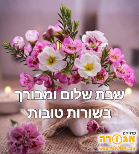 2 מולטי שף חשמלי