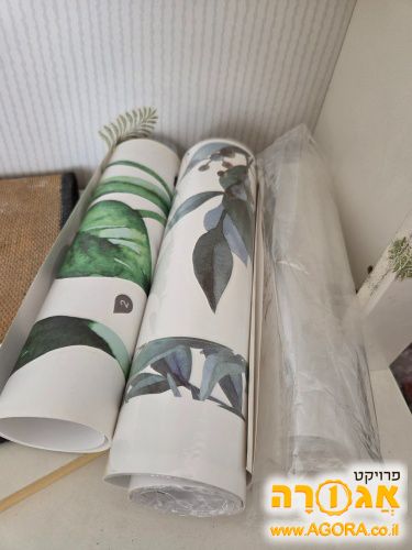 טפטים לקיר של צומח
