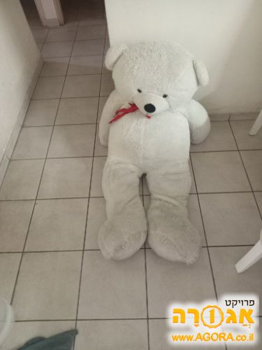 דובי