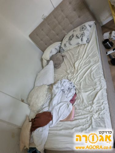 מיטה וחצי - עד יום שישי בבוקר