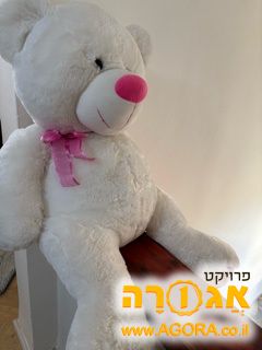 דובי ענק
