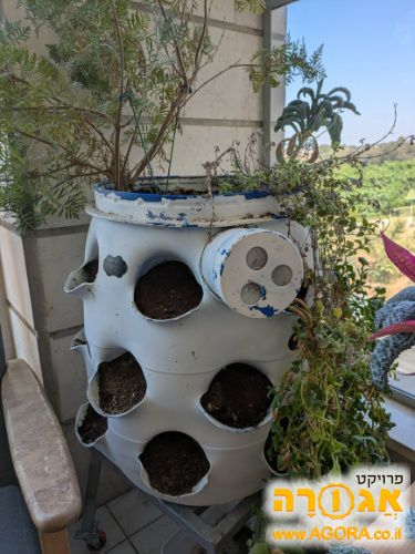 חביתות