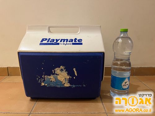 צידנית