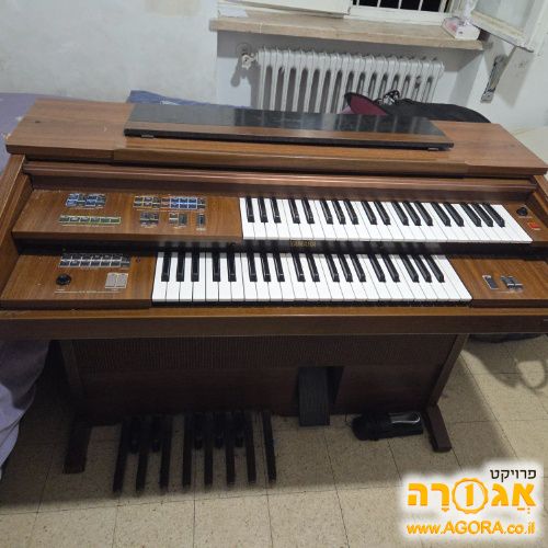אורגן
