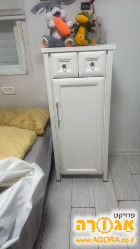 ארונית