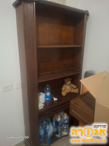 כוננית