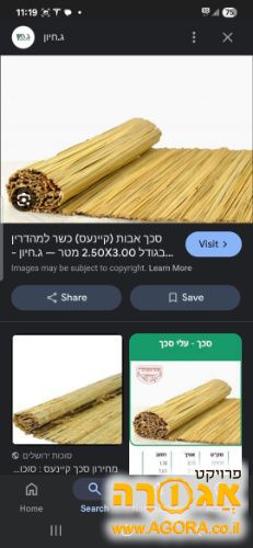 סוכה