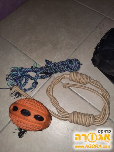 צעצועים לכלב