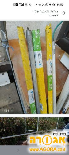 מנורות פלורוסנט