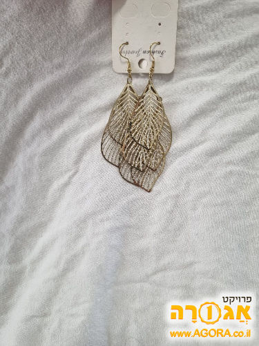 עגילים