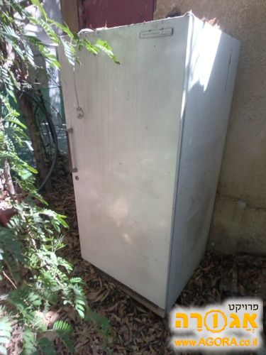 מקפיא