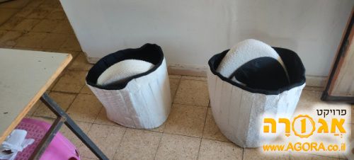 מיטה לכלב