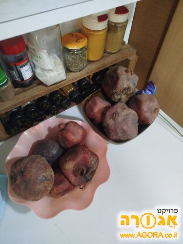 רימונים מיובשים לדקורציה (ליופי)