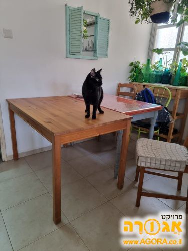 שולחן אוכל איקאה