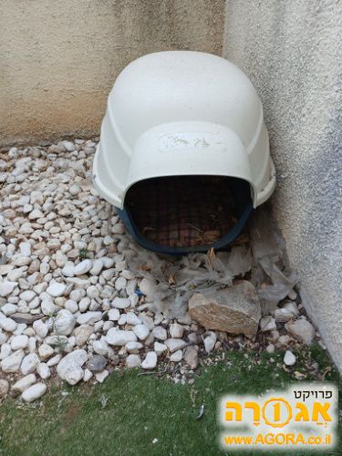 מלונה