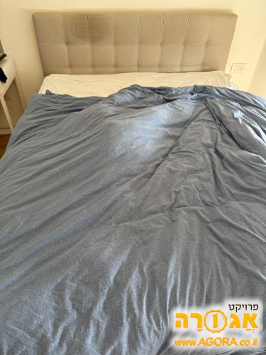 בסיס מיטה
