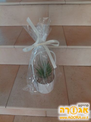 עציץ מלאכותי