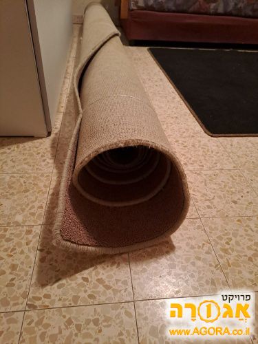 שטיח למסירה. מידות- 360x240