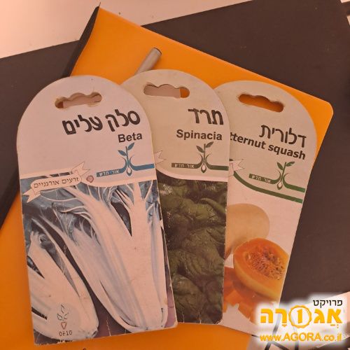 זרעים