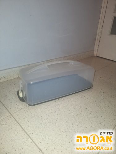קופסת לחם