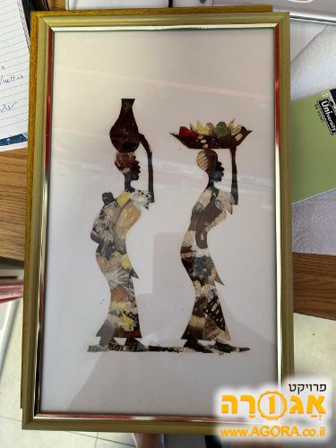 תמונות מכנפי פרפרים
