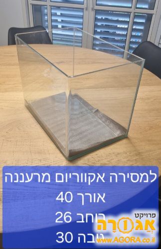 אקווריום מרעננה