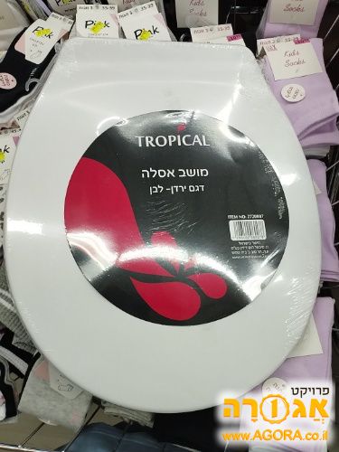 מושב אסלה