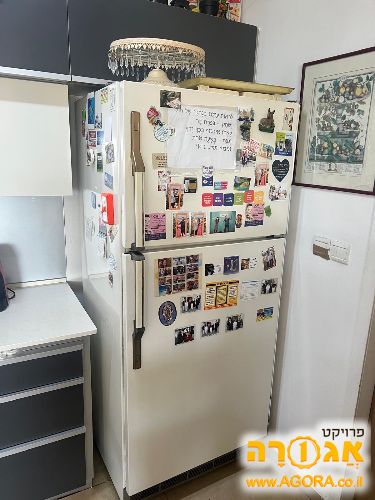 מקרר תדיראן לבן