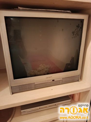 טלויזיה