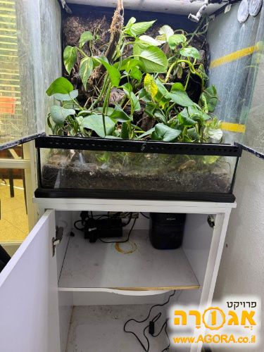 טרריום 60×45×60