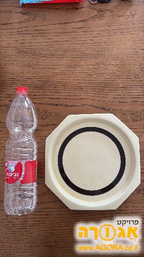 צלחת הגשה