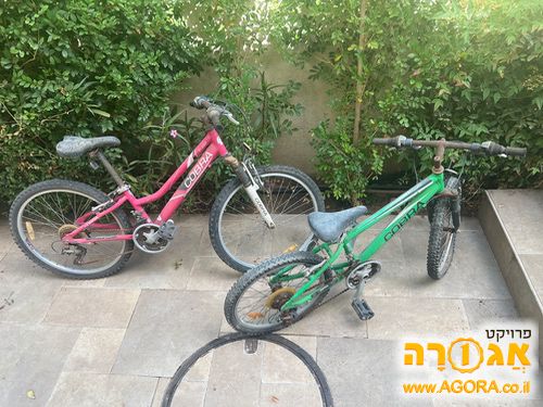 אופניים