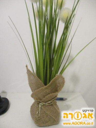 עציץ פלסטיק