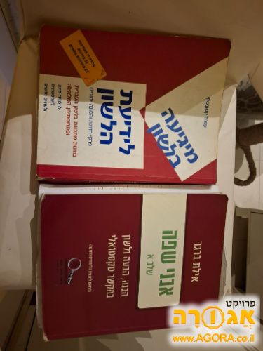 2 ספרים בלשון
