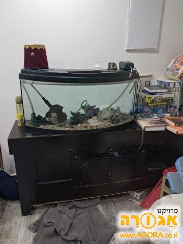 אקווריום גדול, פילטר וארון