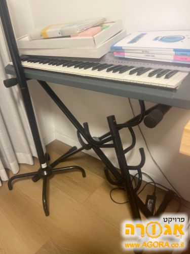 אורגנית