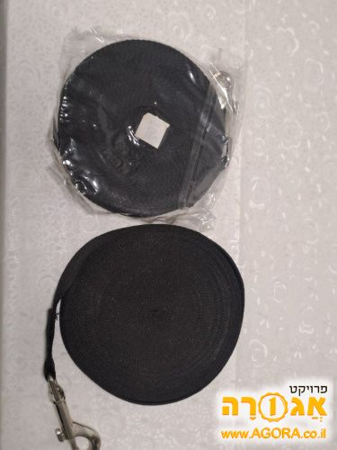 רצועות אילוף