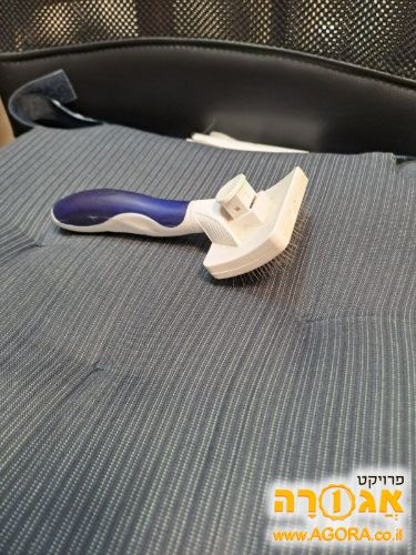 מסרק לכלב