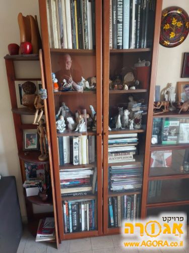 ארון ספרים