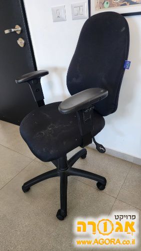 כיסא תלמיד ד"ר גב
