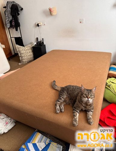 בסיס למיטה זוגית עם ארגז מצעים