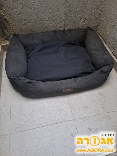 מיטה לכלב