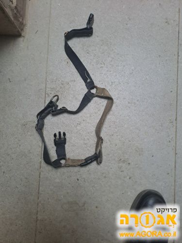 רתמה לכלב