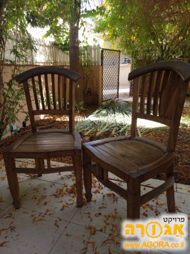 כיסאות עץ