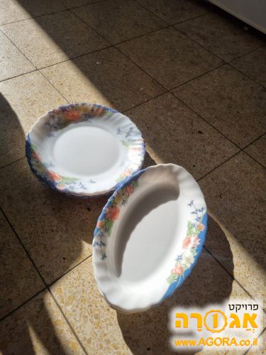 סט צלחות חרסינה פרחוניות